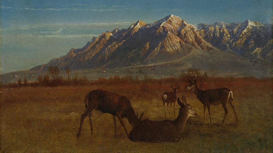 Albert Bierstadt, Deer in a Mountain Home