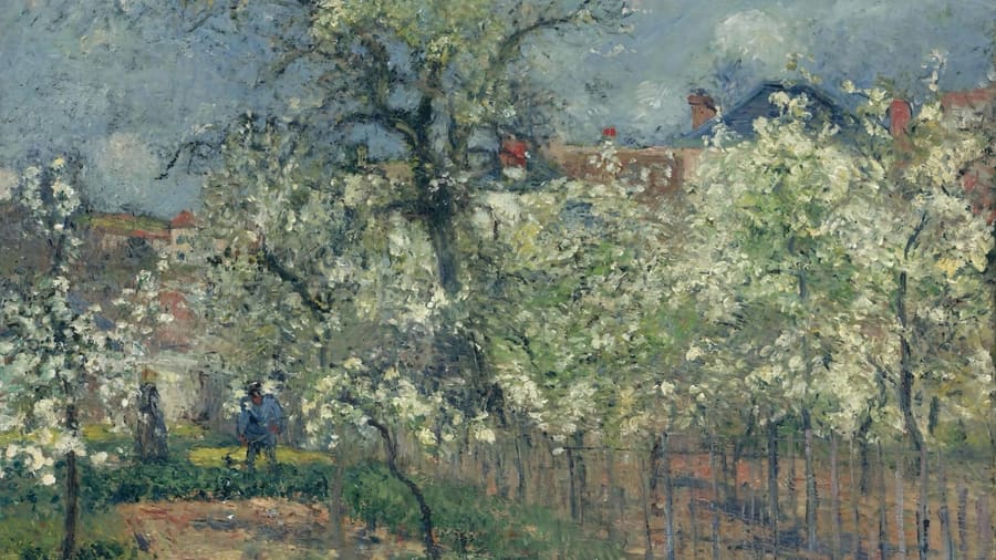 Camille Pissarro, The Garden Of Maubuisson Pontoise Pear Trees In Bloom