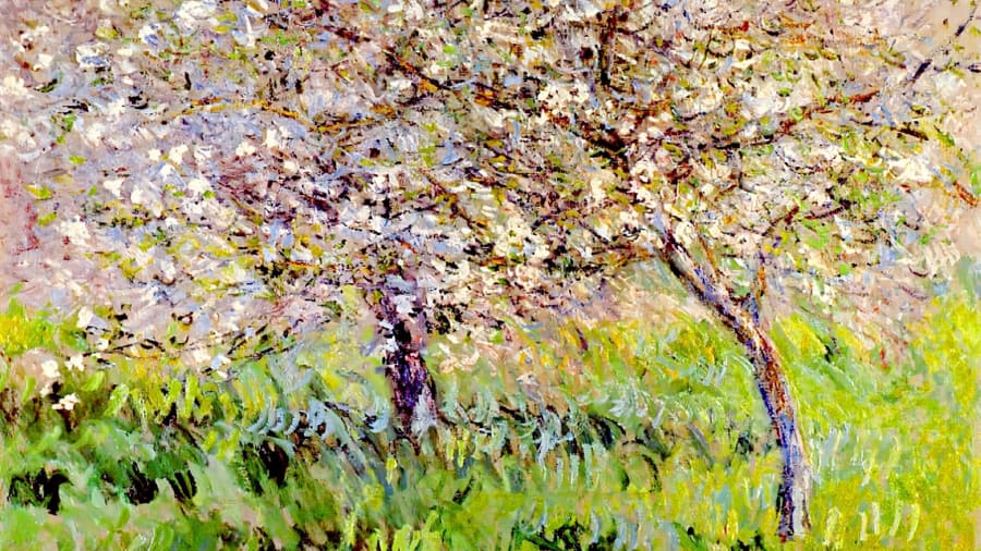 Claude Monet, Apple Trees In Bloom At Giverny