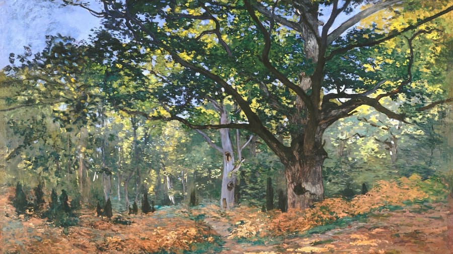 Claude Monet, The Bodmer Oak Fontainebleau Forest