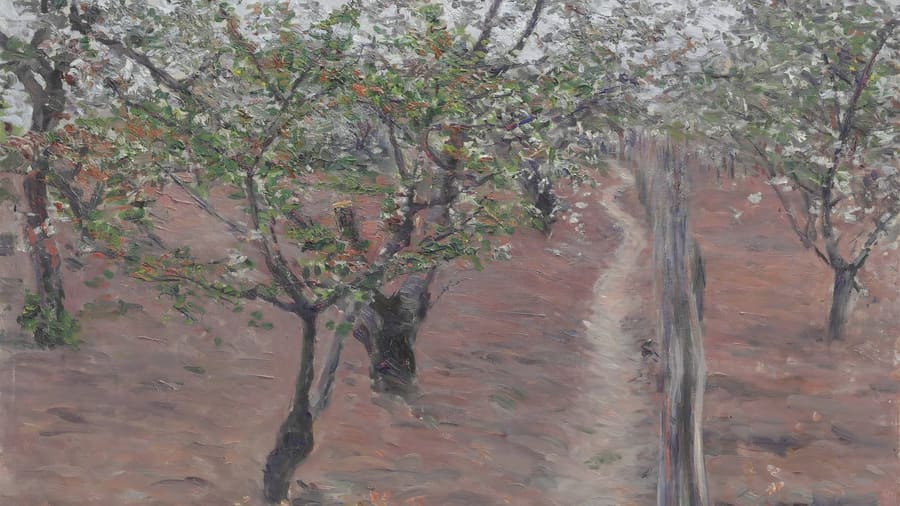 Gustave Caillebotte, Orchard Trees in Flower Petit Gennevilliers