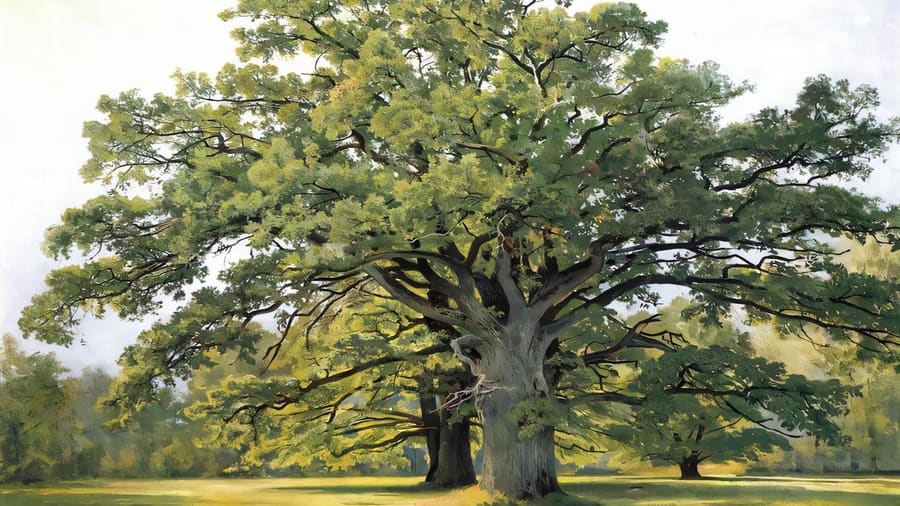 Ivan Shishkin, Oaks in Old Peterhof