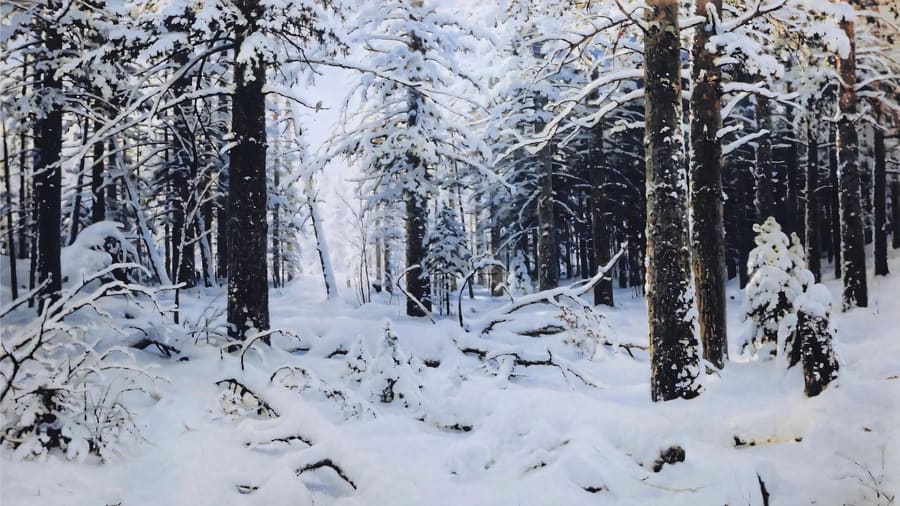 Ivan Shishkin, Winter