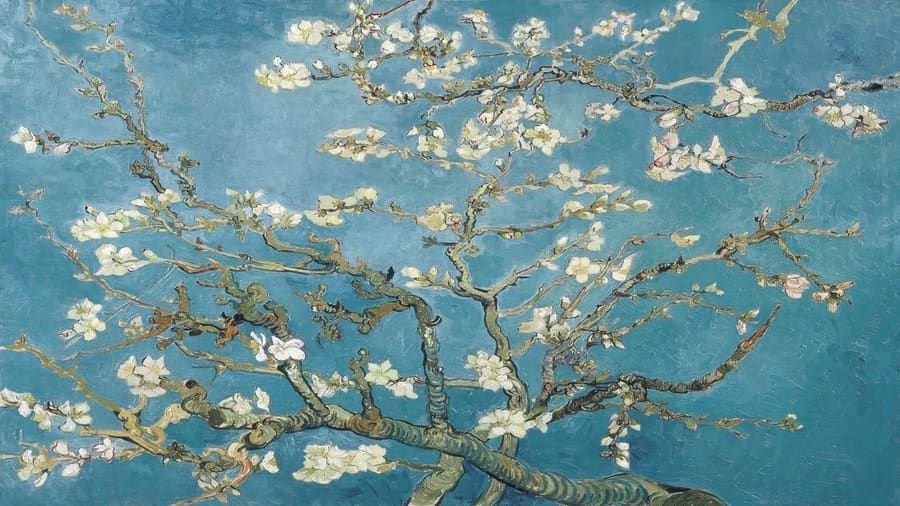 Vincent van Gogh, Almond Blossom