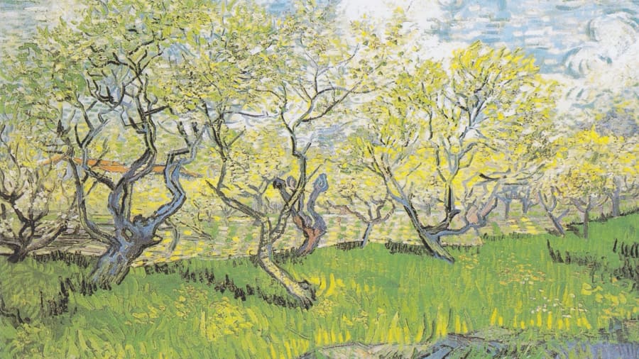 Vincent van Gogh, Orchard In Blossom