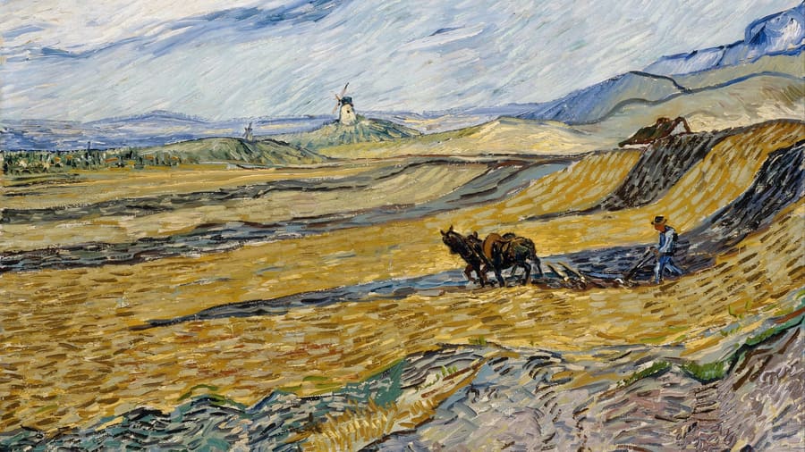 Vincent van Gogh, Enclosed Field with Peasant