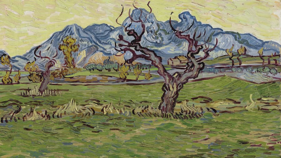 Vincent van Gogh, Fields near the Alpilles