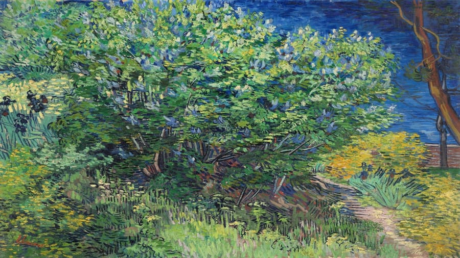 Vincent van Gogh, Lilac Bush