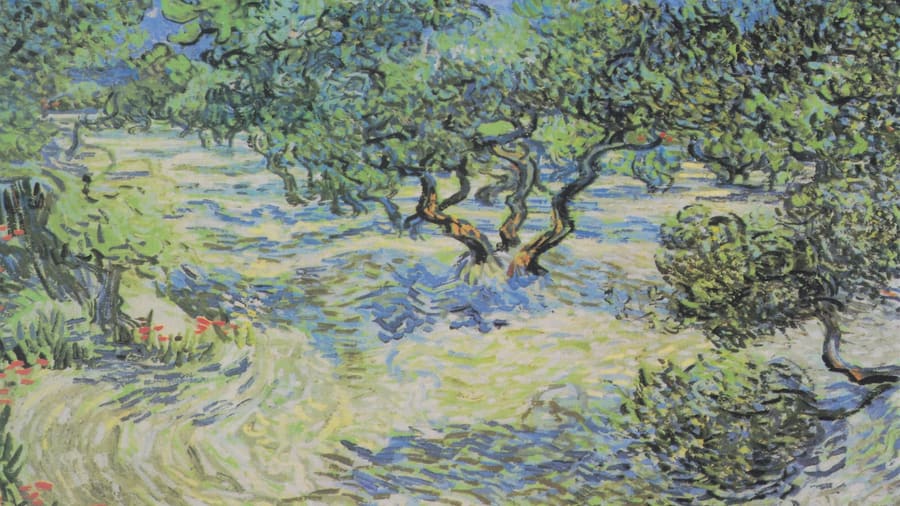 Vincent van Gogh, Olive Orchard