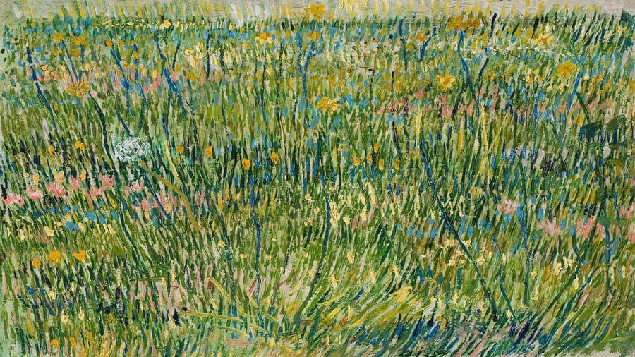Vincent van Gogh, Patch of grass