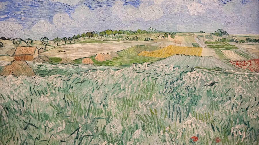 Vincent van Gogh, Plain near Auvers