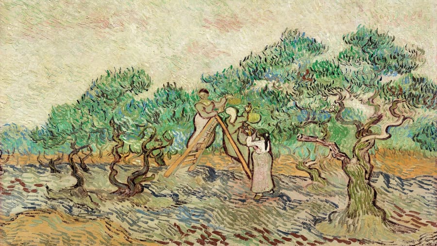Vincent van Gogh, The Olive Orchard
