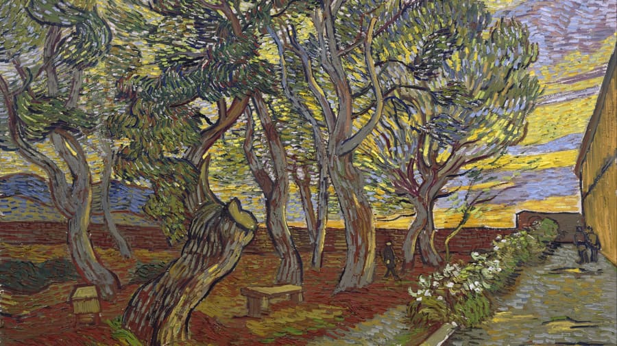 Vincent van Gogh, The garden of Saint Paul s Hospital