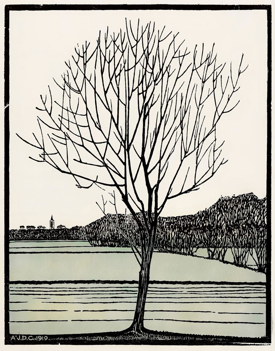 , Bald Tree Nouveau Julie De