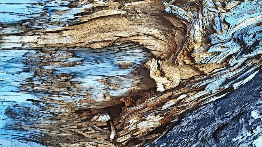 , Blue Tree Bark Abstract