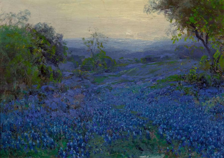 Countryside, Bluebonnets Spring Meadow