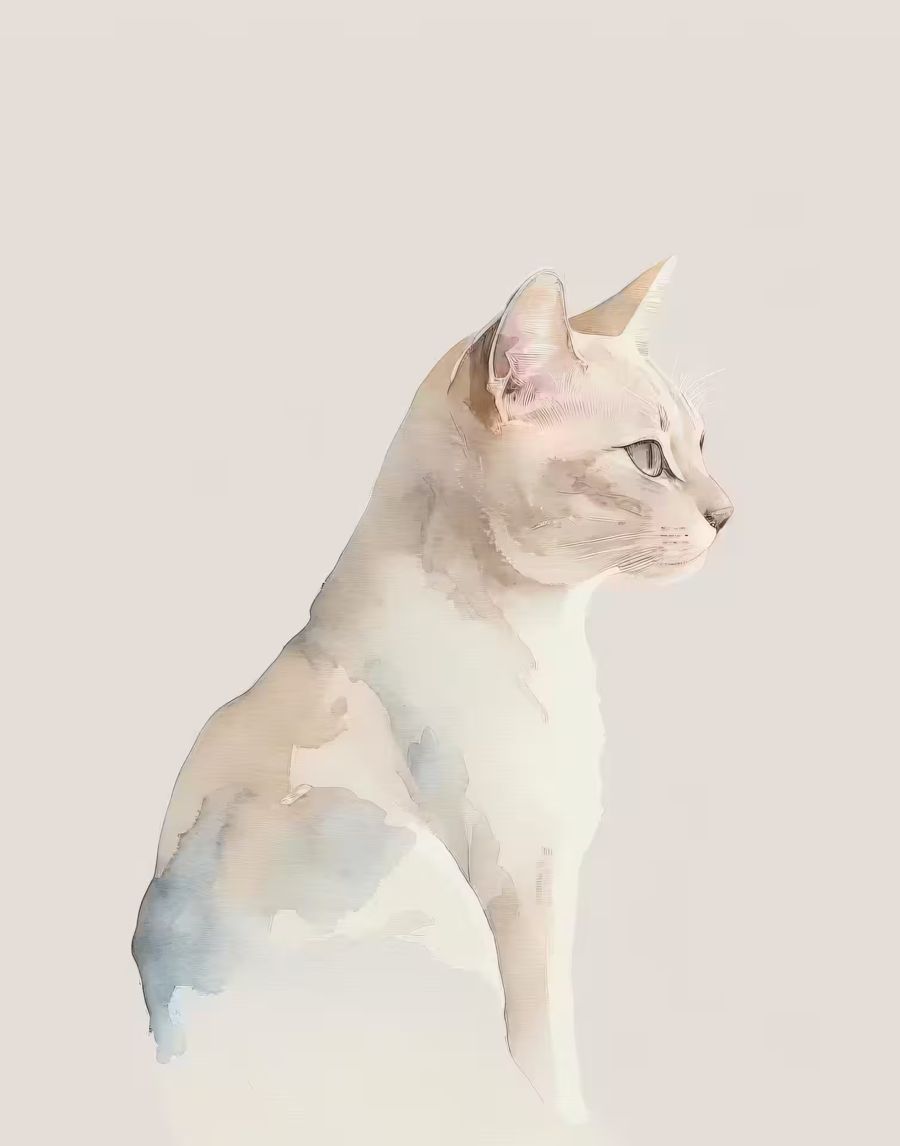 , Cat Watercolor Minimalist Cat White