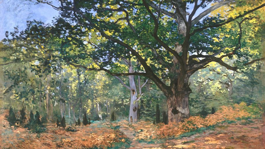 Claude Monet, The Bodmer Oak Fontainebleau Forest