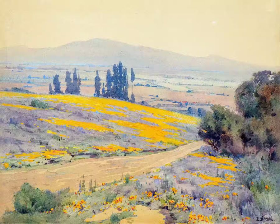 Countryside, Country Field Soft Colors Watercolor