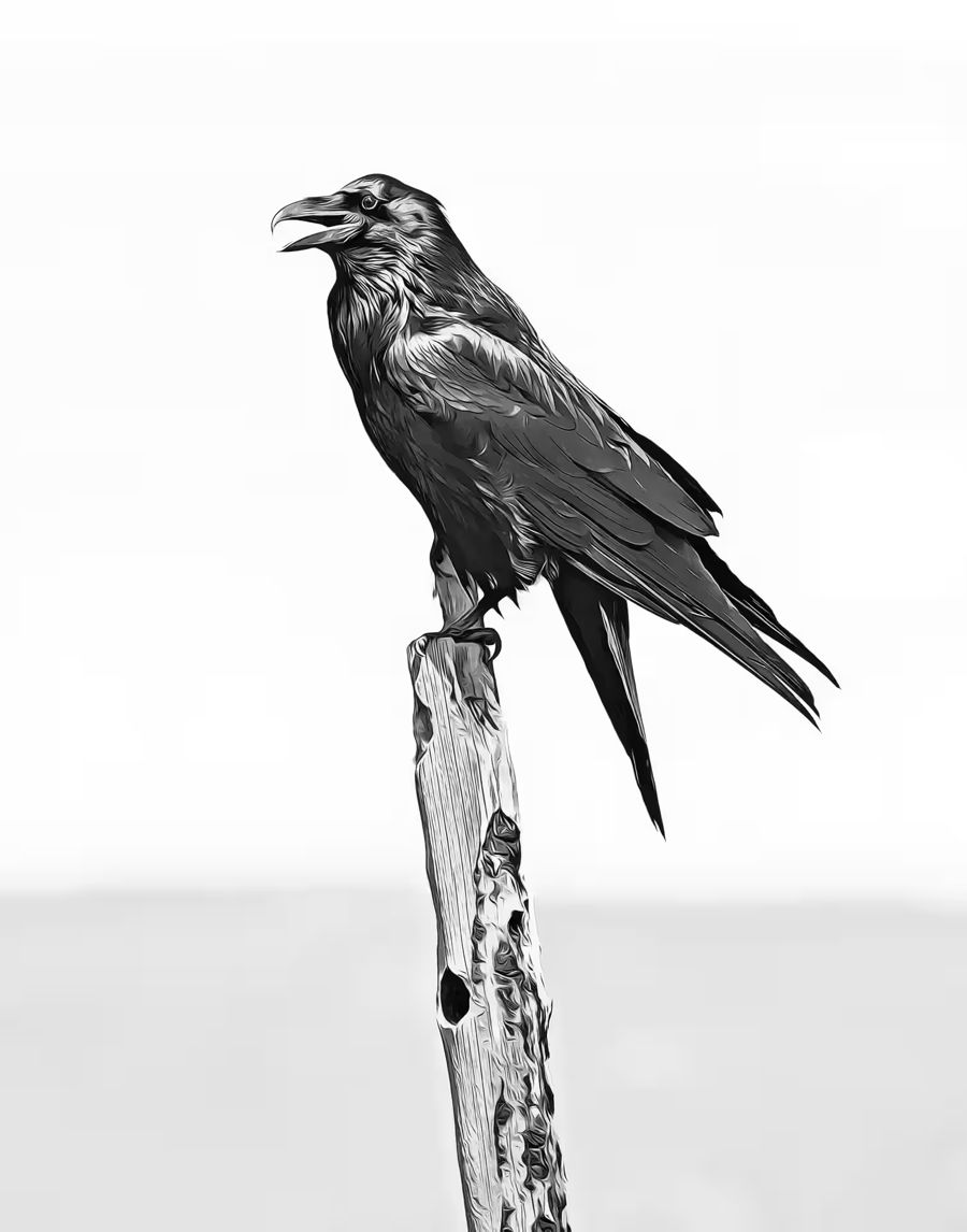 , Crow Branch Raven Decor