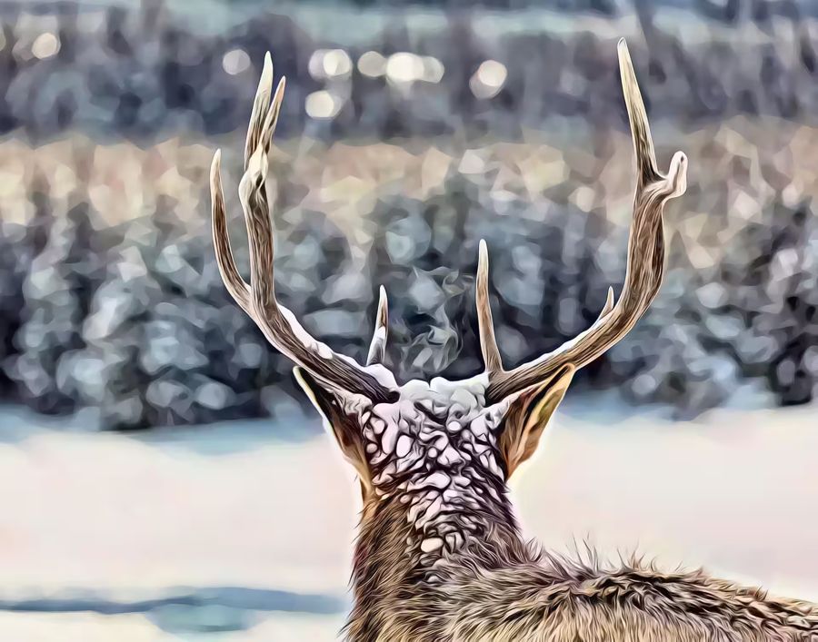 Seasonal, Deer Antlers Snowy Winter Scene