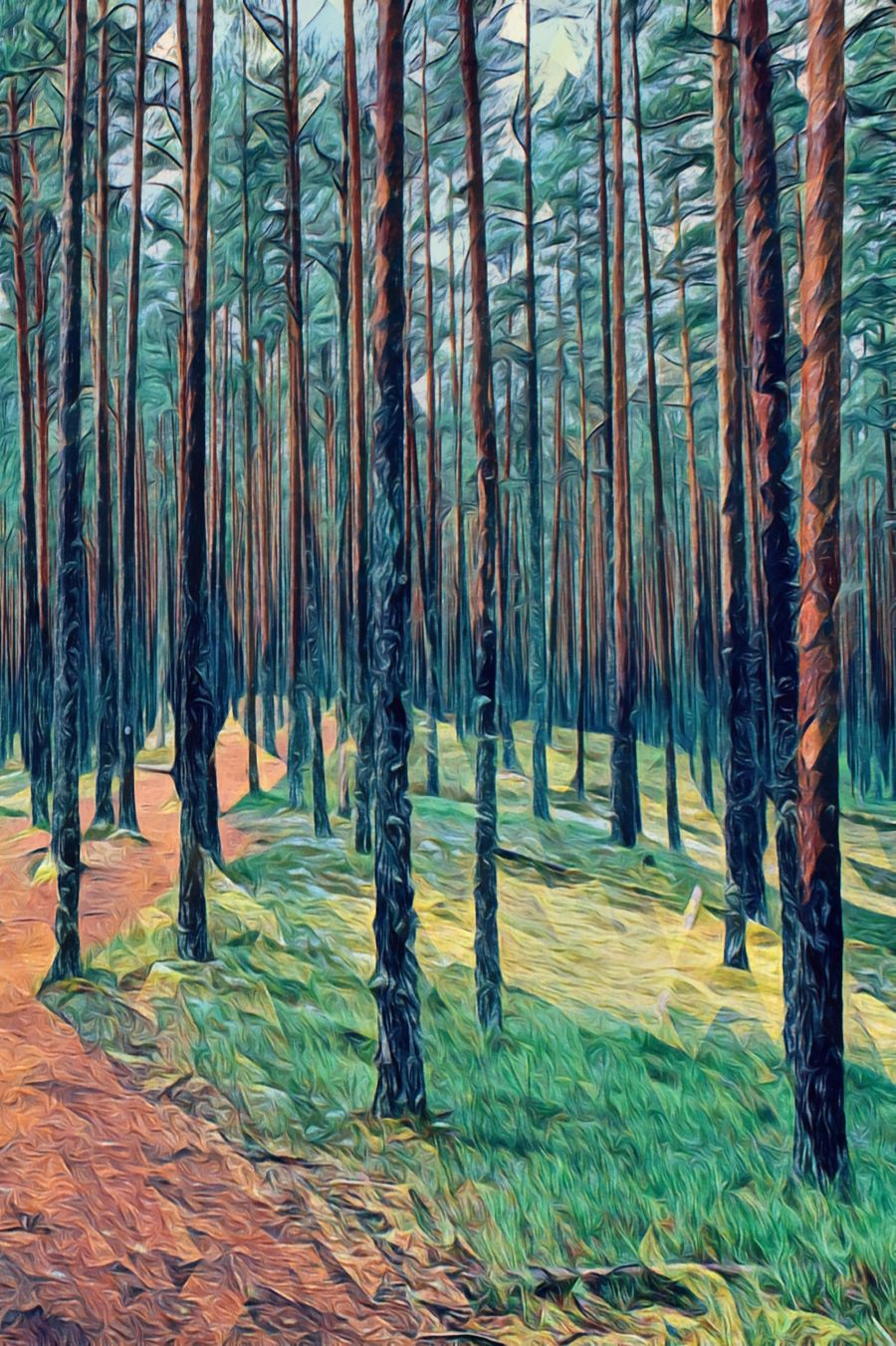 Forests, Estonian Forest Trees 2 Nature