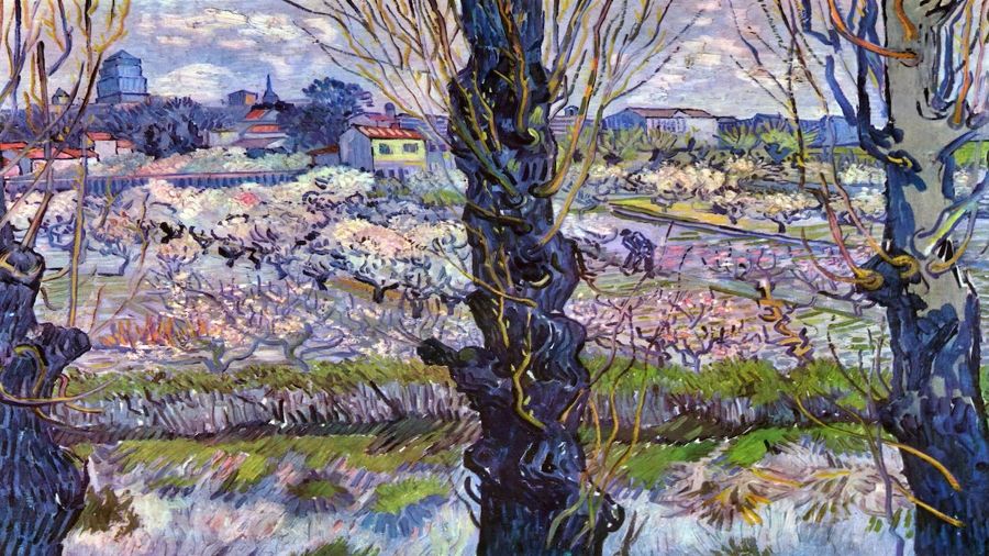 Vincent van Gogh, Flowering Orchards