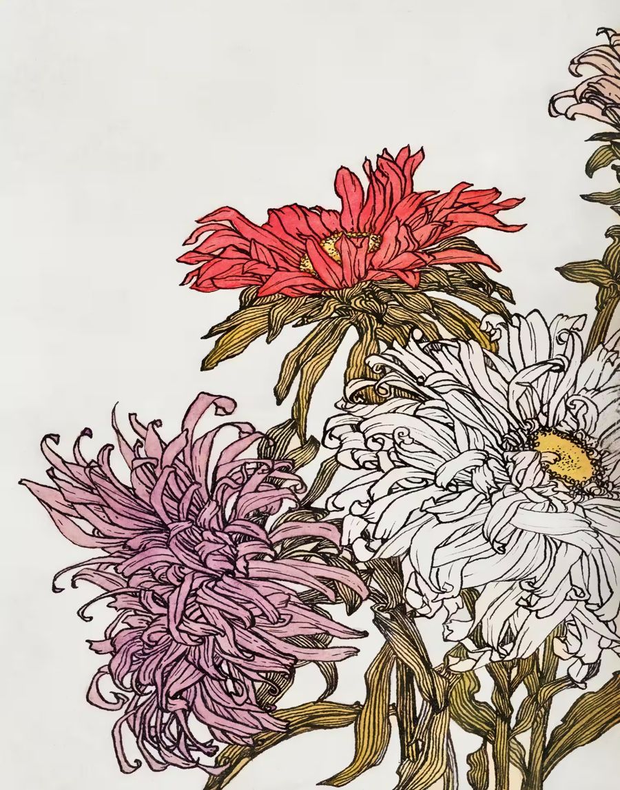 Flowers, Flowers Nouveau Floral Watercolor