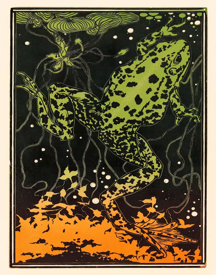 , Frog Decor Nouveau Frog Julie