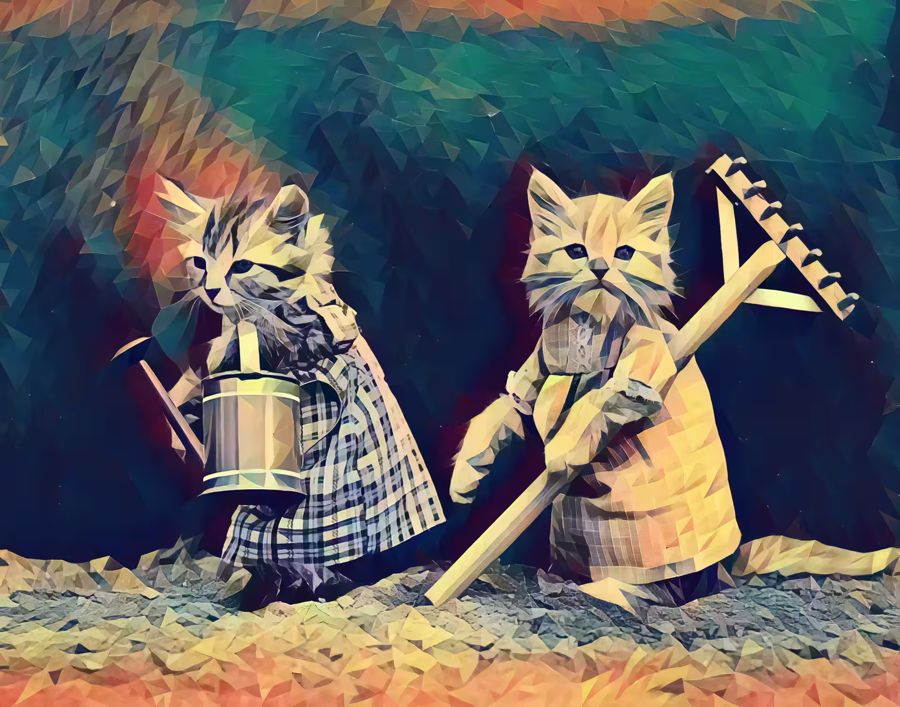 Gardens, Gardening Cats Polygons Home Office