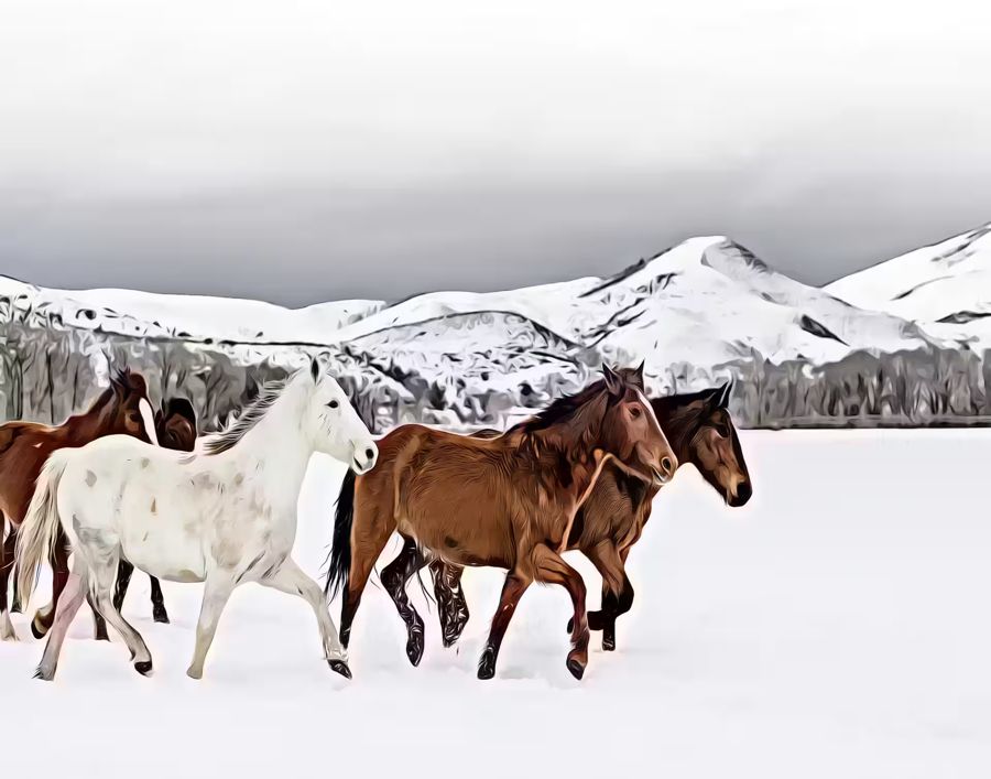 Seasonal, Herd Horses Snow Horse Animal