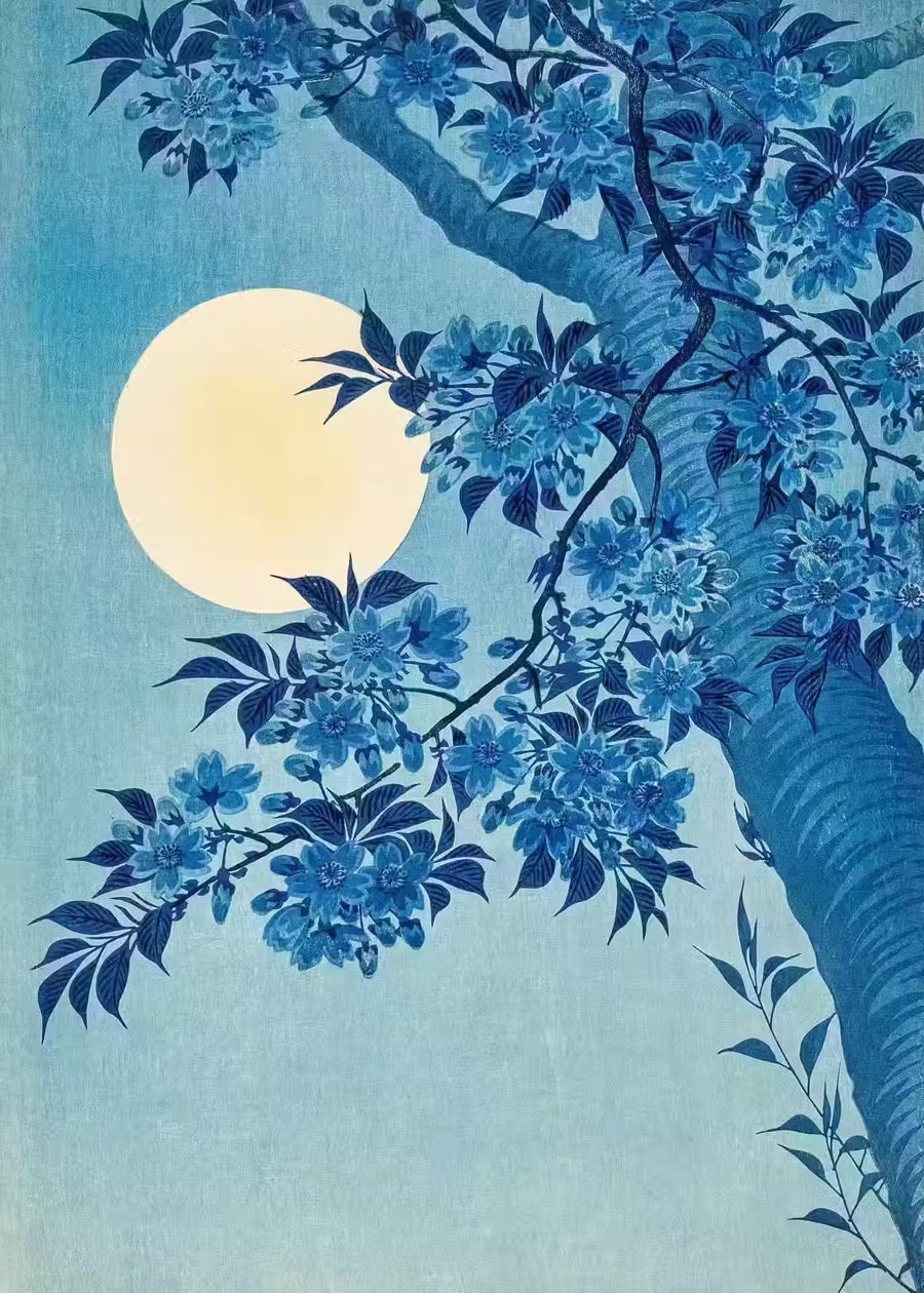 Flowers, Japanese Blossoming Cherry Full Moon