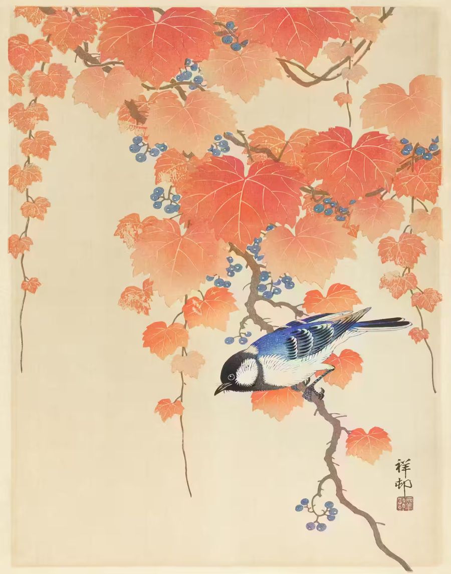 , Japanese Blue Bird Branch Japanese
