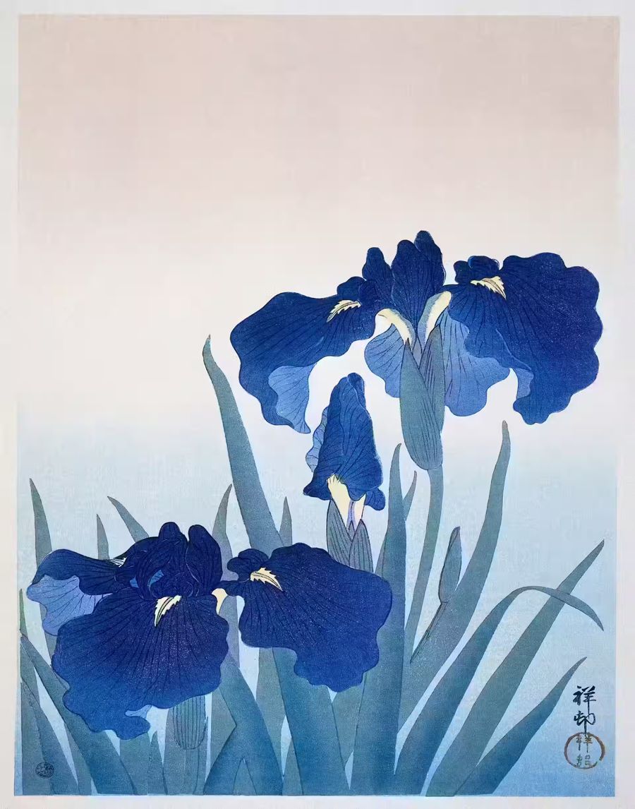 Flowers, Japanese Flower Blue Irises Antique