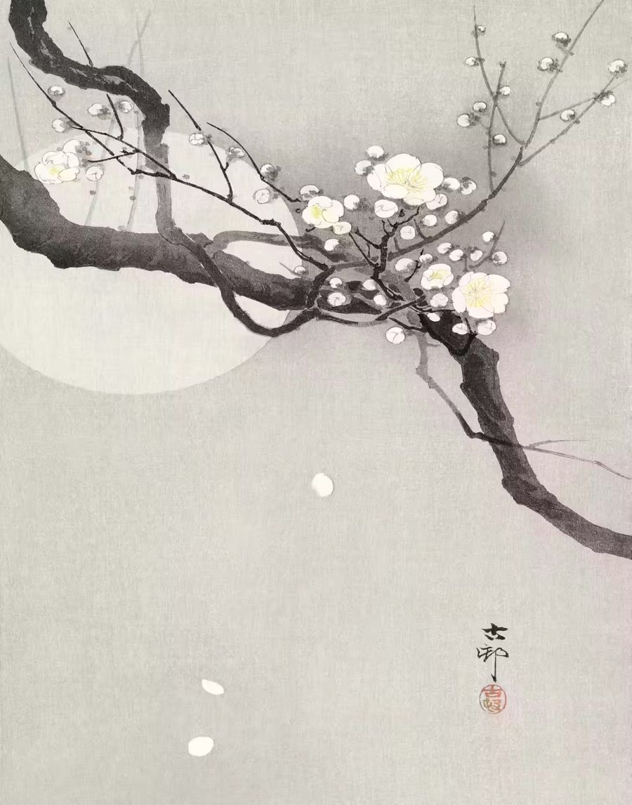 Flowers, Japanese Flower Plum Blossom Full