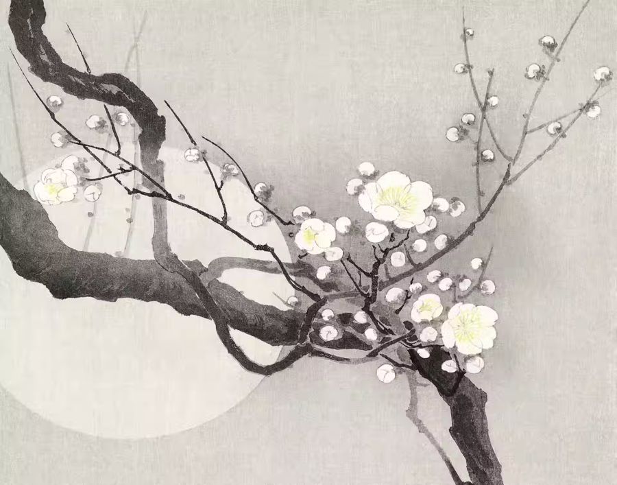 Flowers, Japanese Plum Blossom Flower w
