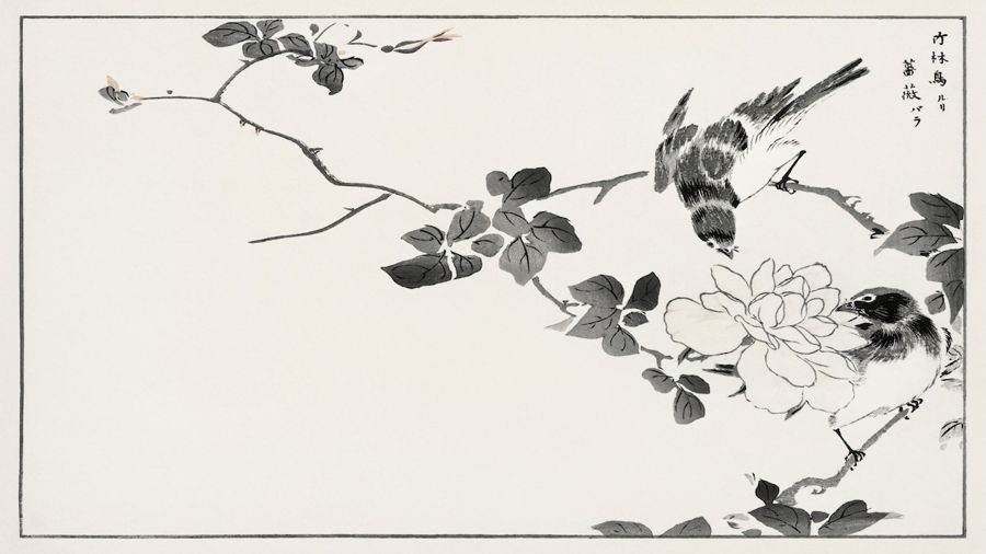 Flowers, Japanese Robin and Rose