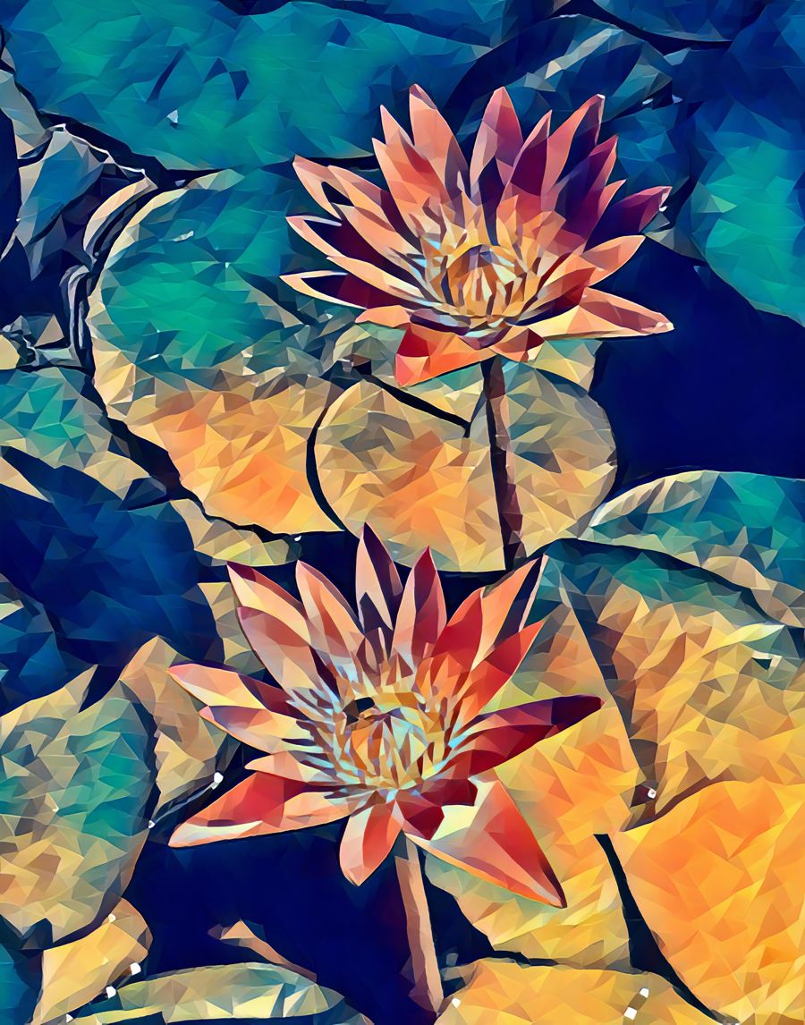 Flowers, Lotus Flower Botanical Flower Decor