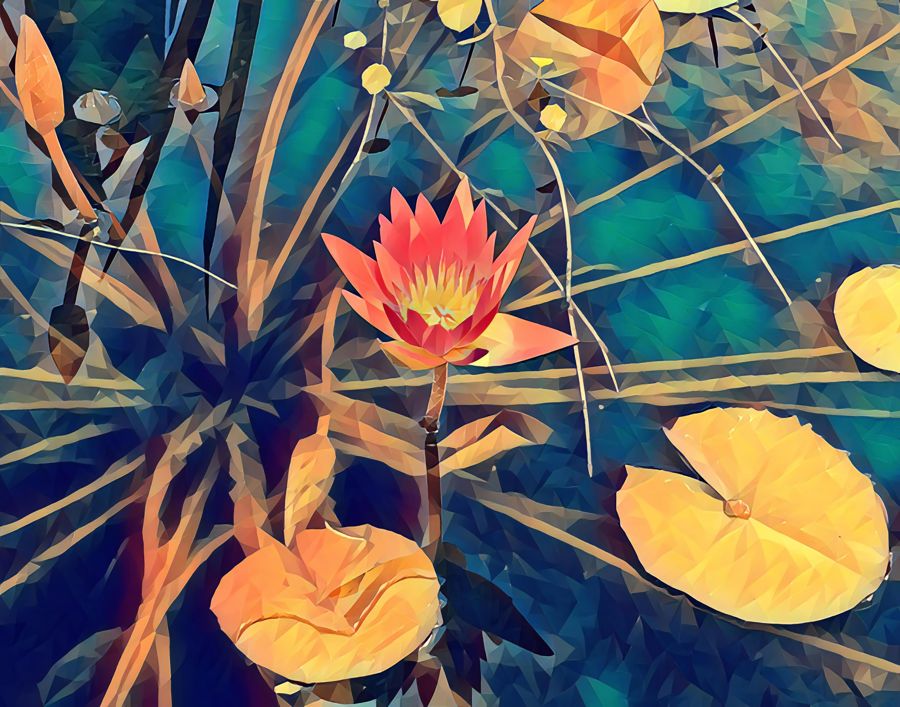 Flowers, Lotus Flower Botanical Flower Decor