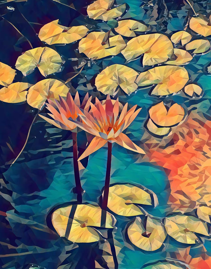 Flowers, Lotus Flower
