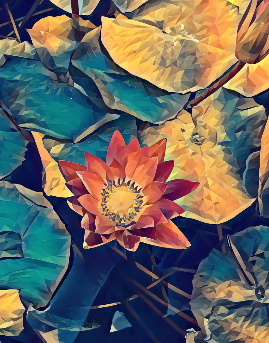 Flowers, Lotus Flower