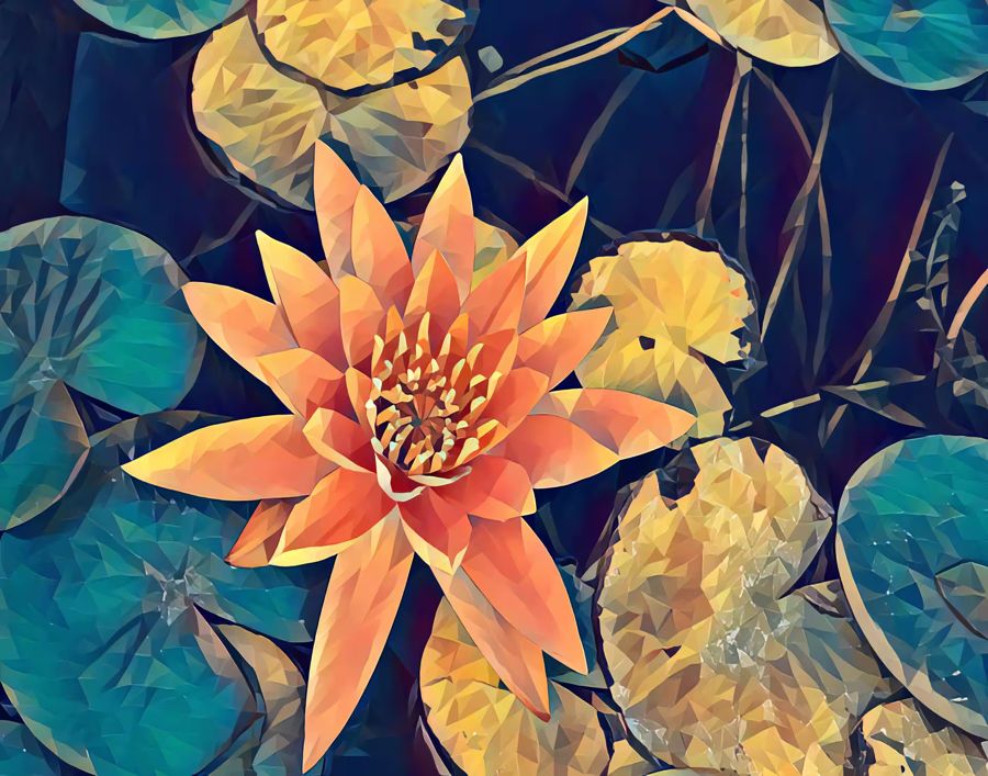 Flowers, Lotus Flower