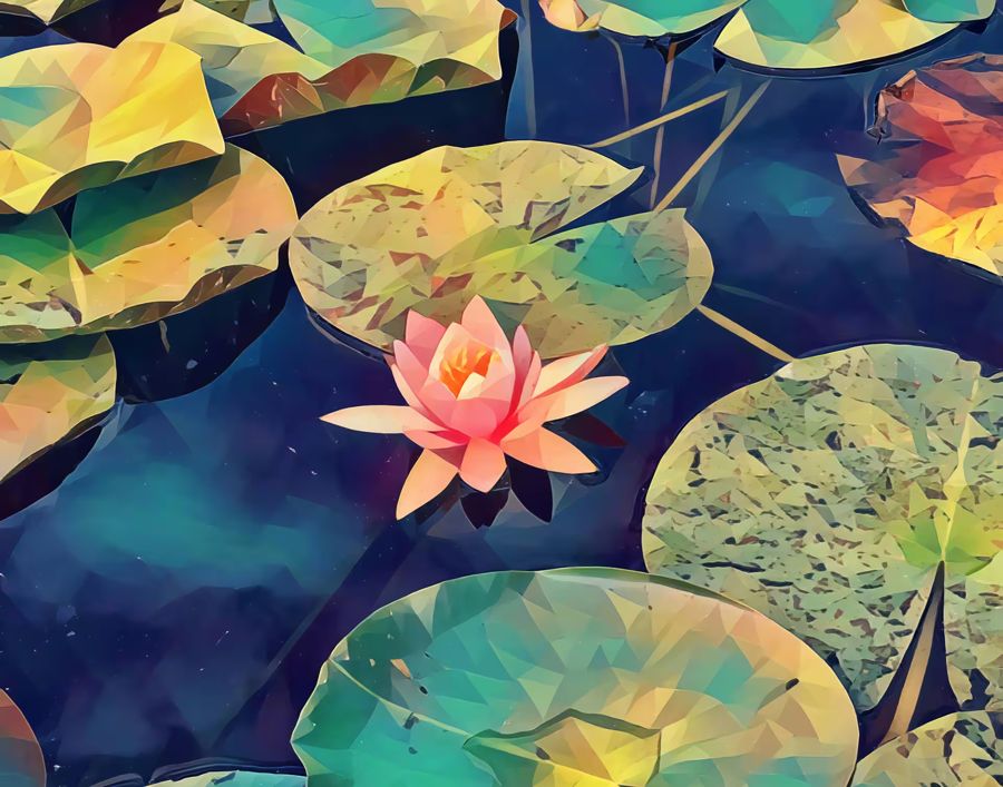 Flowers, Lotus Flower