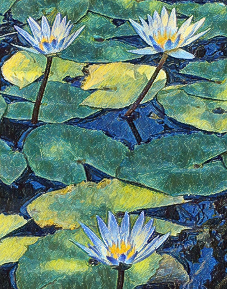 Flowers, Lotus Flower