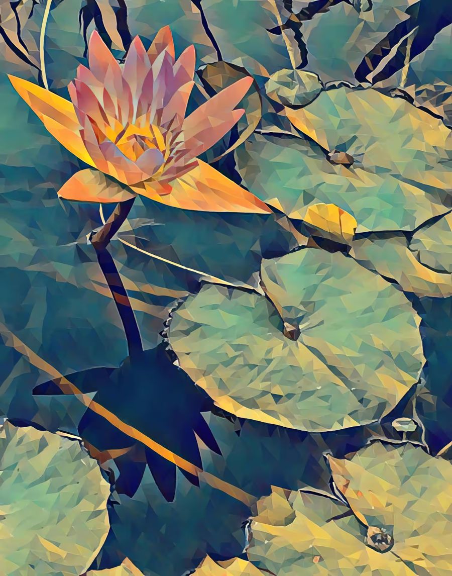 Flowers, Lotus Flower