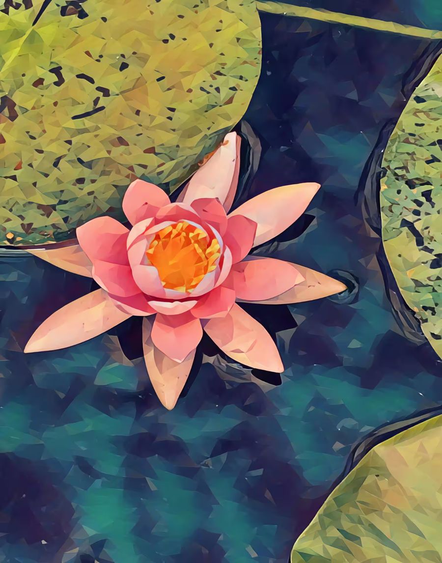 Flowers, Lotus Flower