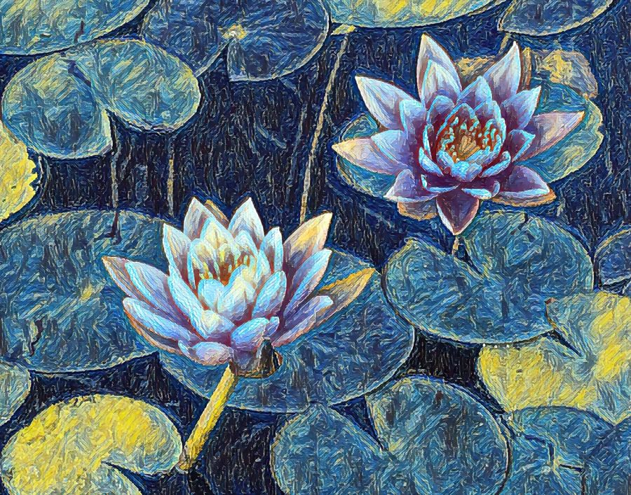 Flowers, Lotus Flower