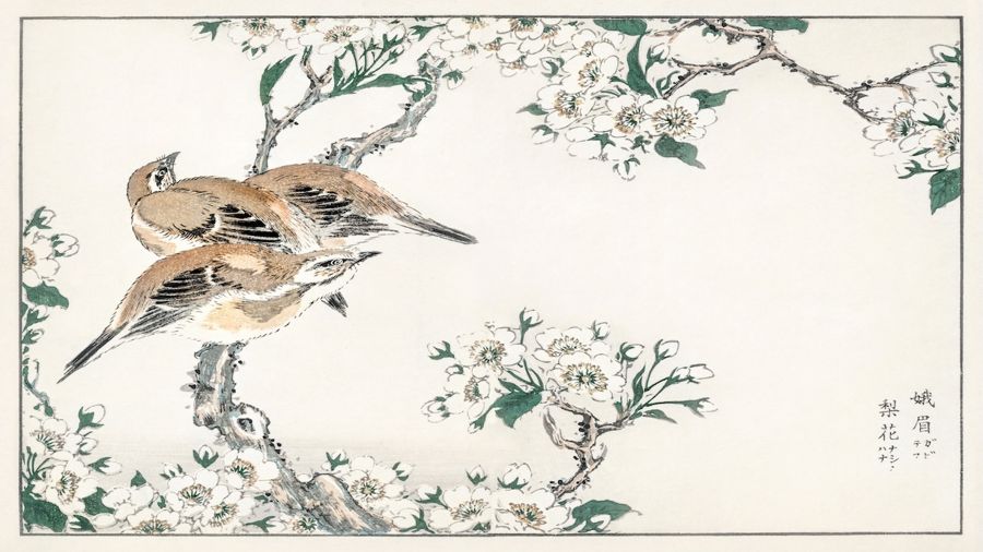 Countryside, Meadow Bunting and Pear Flower