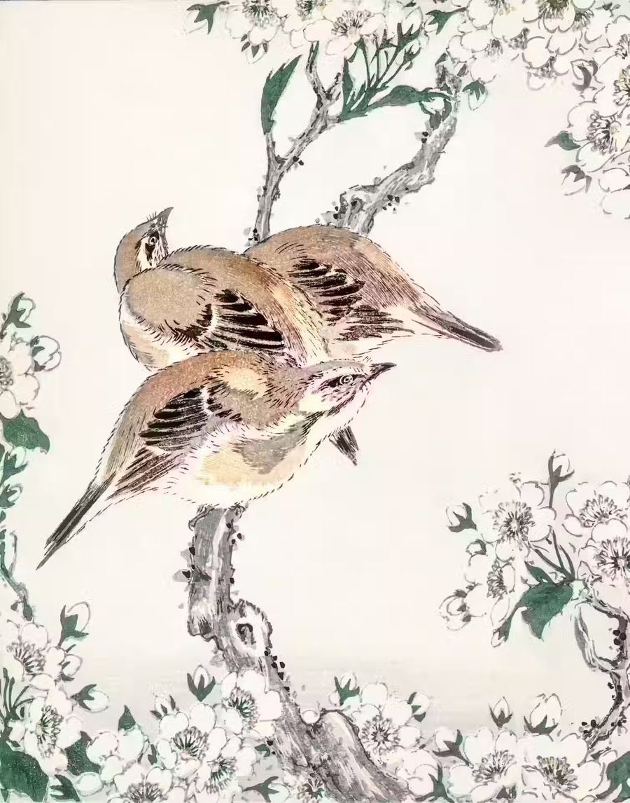 Countryside, Meadow Bunting Pear Flower Japanese