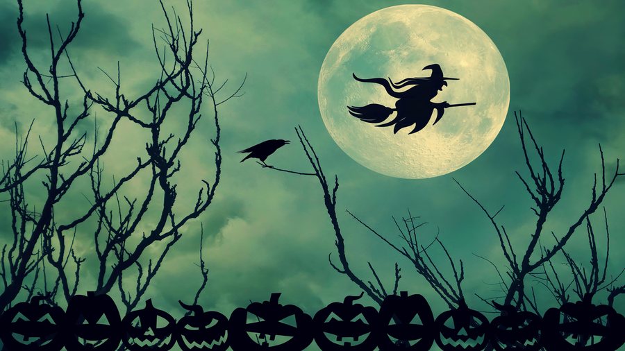 Moonlit Flight